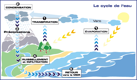 cycle_naturel.gif